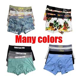 Dl0R Dior męska oddychająca bielizna 3PCS-2404